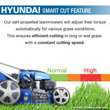 Hyundai 20"/51cm 196cc Self-Propelled Petrol Lawnmower | HYM510SP