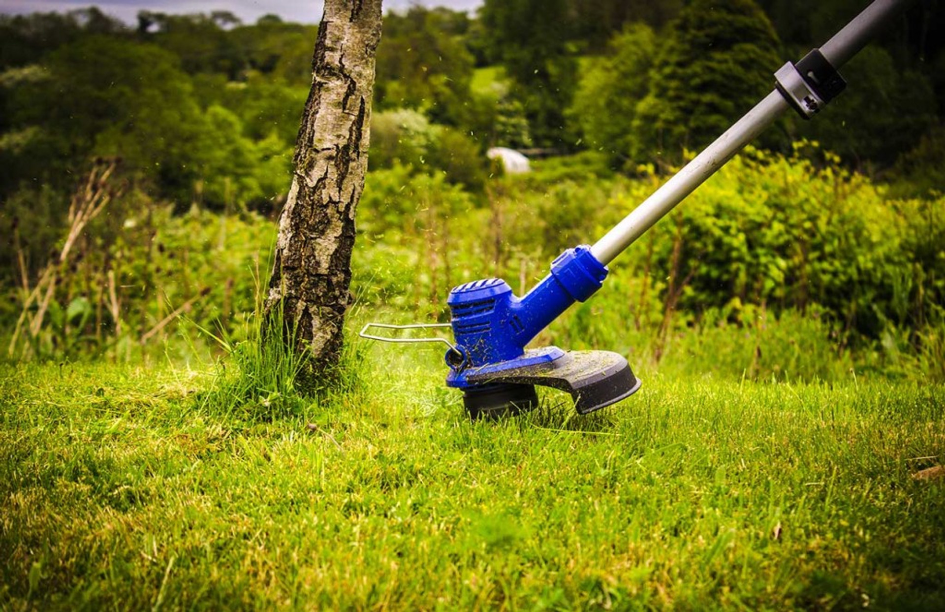An Easy Maintenance Guide For Grass Trimmers / Strimmers The Power Site