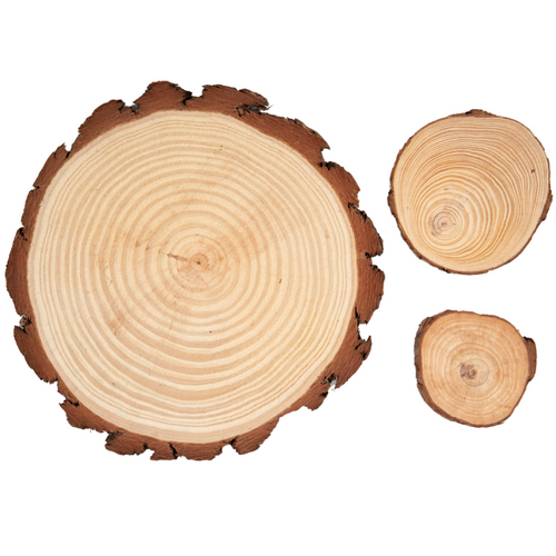 Wooden Pine Discs
