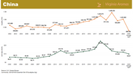 Eucalyptus Oil Market Update