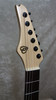 USA Difiance Sceptre electric guitar in Intrinsic Ooze finish