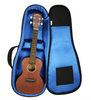 Reunion Blues RBX-CUK RBX Concert Ukulele Uke Gig Bag