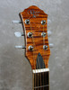 Michael Kelly MKTPE acoustic electric guitar