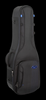 REUNION BLUES EXPEDITION DOUBLE ELECTRIC PREMIUM GUITAR CASE