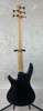 Ibanez Gio GSR205PC Soundgear 5-string Bass Guitar - Transparent Marine Burst