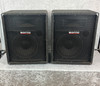 Pair of Sonic TM-12 passive PA speakers