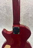 Epiphone Slash AFD Les Paul Special II electric guitar