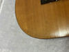 Vintage Silvertone Classic classical acoustic guitar