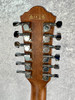 Ibanez AEG5012 12-string Acoustic-electric Guitar in Dark Violin Sunburst Ibanez AEG5012 12-string Acoustic-electric Guitar in Dark Violin Sunburst