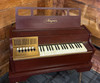 Magnus 500 Chord Organ with stand
