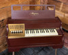 Magnus 500 Chord Organ with stand