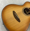 Breedlove Signature Concertina Copper E acoustic electric w/ bag