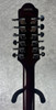 Eastwood Breadwinner 12 String Electric Guitar in mahogany with gig bag