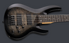 PRE-ORDER - 2026 LTD B-205DX DX SERIES BASS \ BLACK BURST