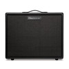 Blackstar Artist FR Special 100-watt 1 x 12-inch Powered lightweight  Speaker Cabinet
