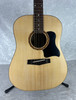 USA Difiance DN1 dreadnought acoustic guitar (hand crafted in the Midwest!)