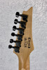 Ibanez Gio GRGR330EXBKF RG SERIES Electric Guitar / Flat Black