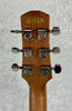 Ibanez AAM50CE Advanced Acoustic-Electric Auditorium Guitar - Open Pore Natural