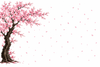 ***DEPOSIT ON*** SPECIAL-ORDER USA JACKSON CUSTOM SHOP RR24 1H CHERRY BLOSSOM PAINT