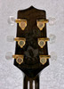 TAKAMINE GN75CE SOLID TOP ACOUSTIC / ELECTRIC NEX CUTAWAY IN TRANS BLACK