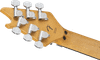 EVH LIMITED EDITION WOLFGANG SPECIAL STRIPED SERIES / AGED R/W/B