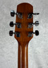 Walden D351 acoustic guitar with gig bag