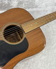 Walden D351 acoustic guitar with gig bag