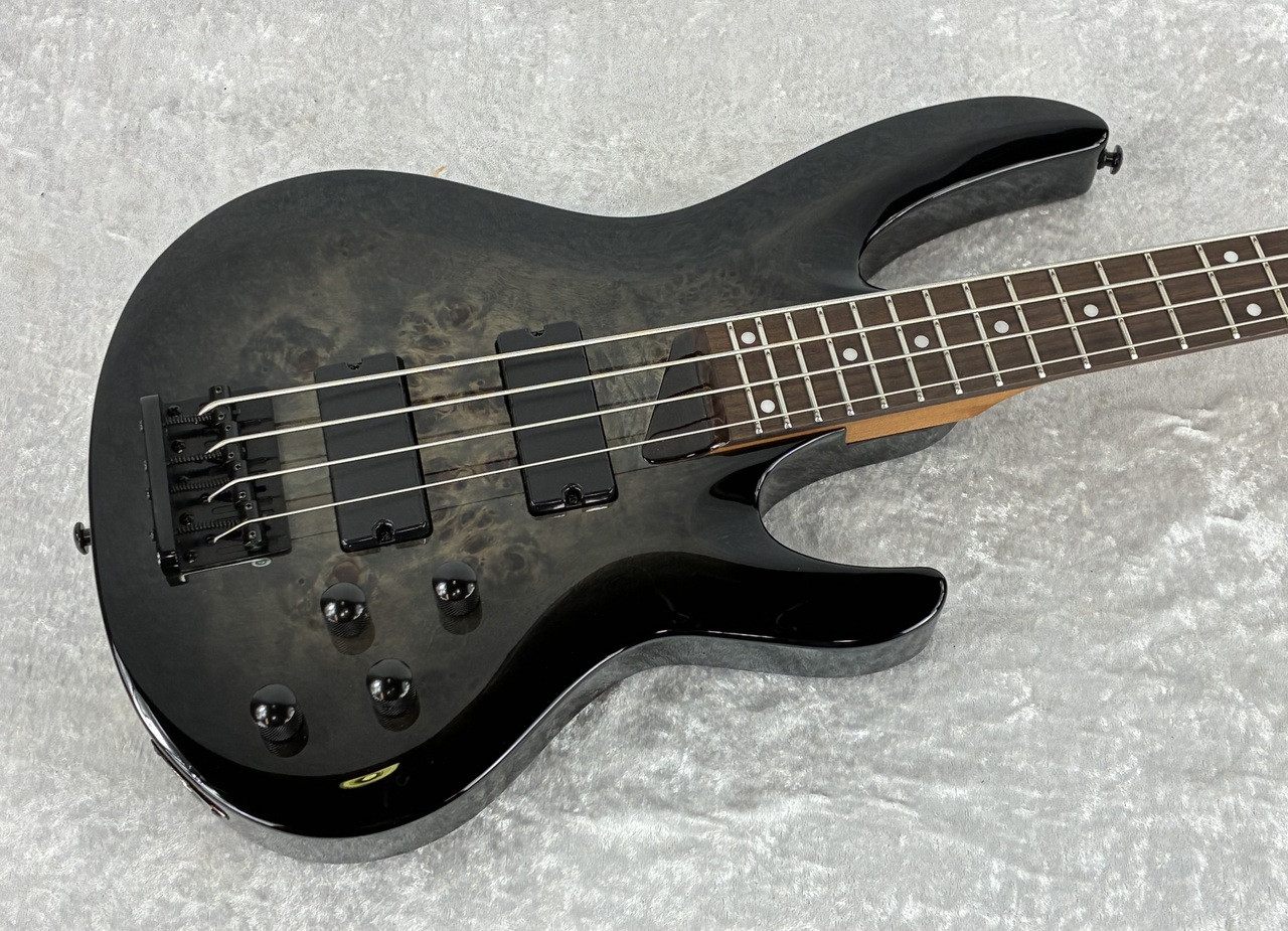 IN-STOCK - 2026 LTD B-204DX DX SERIES 4 STRING BASS  BLACK BURST
