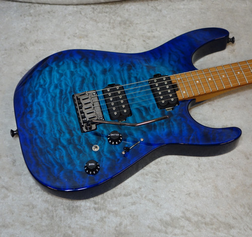 charvel dinky case