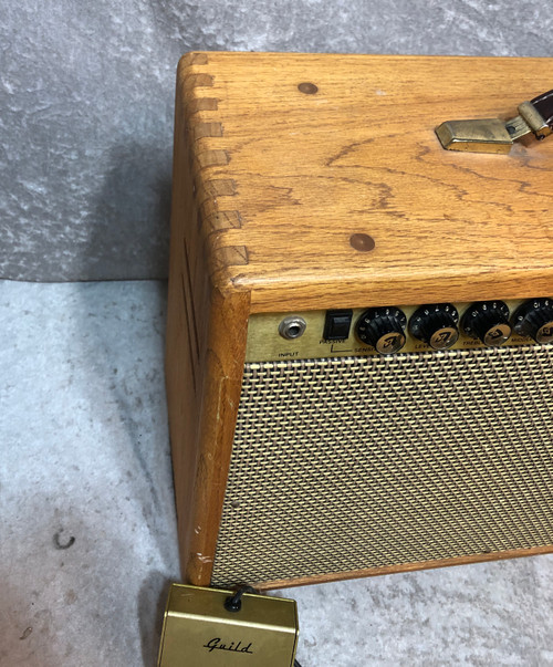 Guild USA Aspen Acoustic guitar combo amp