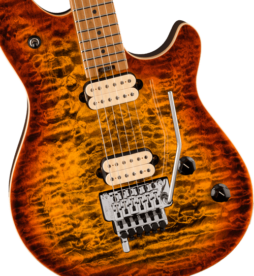 ギター EVH wolfgang Special maple EVHWGSPCQMBKDMPLFPIBIMG_6360.