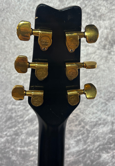 Washburn Raven electric guitar with flaming eagle refinish