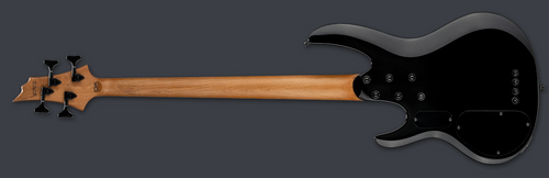 PRE-ORDER - 2026 LTD B-204DX DX SERIES BASS \ BLACK BURST