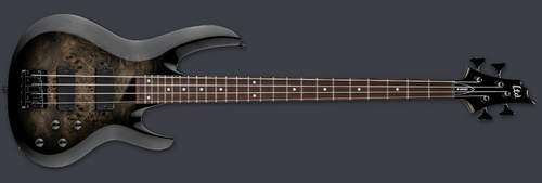 PRE-ORDER - 2026 LTD B-204DX DX SERIES BASS \ BLACK BURST