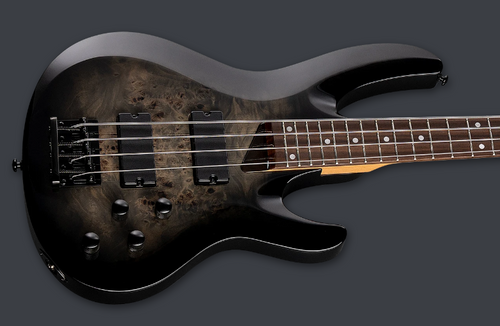 PRE-ORDER - 2026 LTD B-204DX DX SERIES BASS \ BLACK BURST