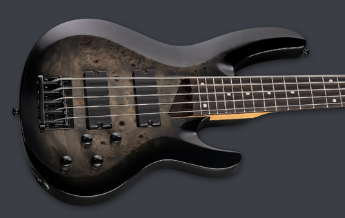 PRE-ORDER - 2026 LTD B-205DX DX SERIES BASS \ BLACK BURST