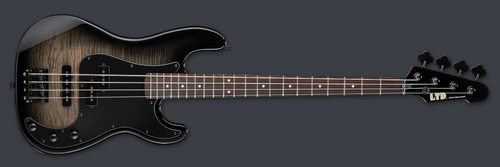 PRE-ORDER - 2026 LTD SURVEYOR-204DX DX SERIES BASS \ BLACK BURST