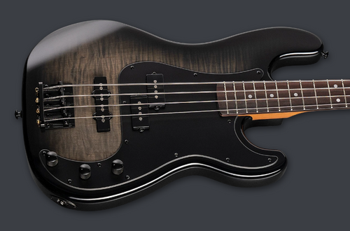 PRE-ORDER - 2026 LTD SURVEYOR-204DX DX SERIES BASS \ BLACK BURST