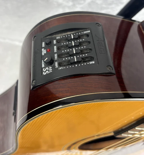 Ibanez PF5CE-NT-14-03 acoustic electric guitar