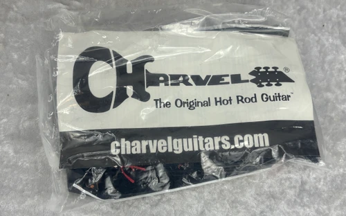 USA 2006 Charvel Custom Shop The TollKeeper Extreme guitar with Mike Learn Paint