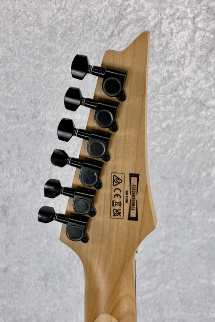 Ibanez Gio GRGR330EXBKF RG SERIES Electric Guitar / Flat Black