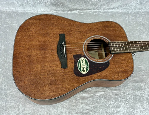 Ibanez AW54 Solid Top dreadnaught Acoustic Guitar Open Pore Natural