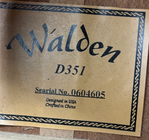 Walden D351 acoustic guitar with gig bag