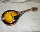 Rogue RM-100A Mandolin with hardshell case