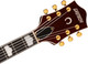 Pre-order! Gretsch G6120TG-DS Players Edition Nashville hollow body roundup