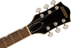 Pre-Order! GRETSCH G2420 STREAMLINE HOLLOW BODY WITH CHROMATIC II TAILPIECE/ CLARET BURST