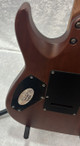 Schecter C-1 Exotic Ebony electric guitar with case