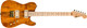 2025 USA CHARVEL CUSTOM SHOP / SPECIAL EDITION STYLE 2 \ TASMANIAN BLACKWOOD