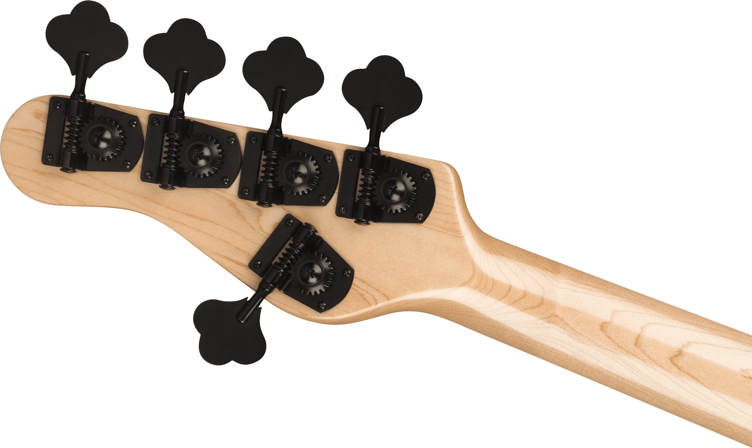 SPECIAL ORDER! Jackson ADAM BLACKSTONE 