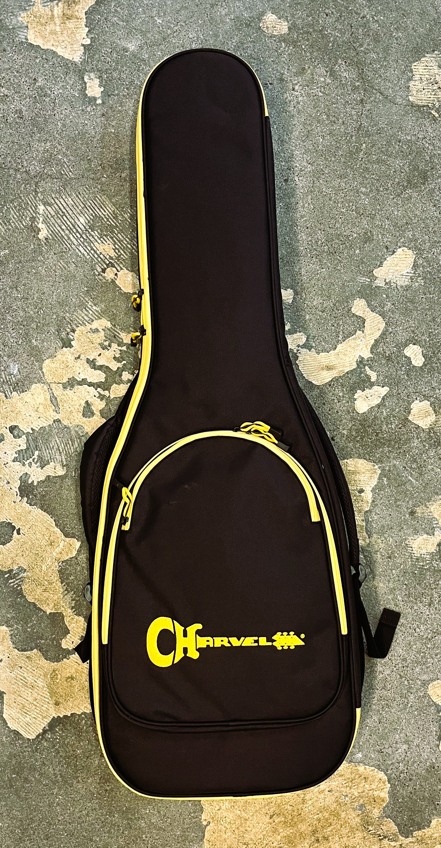 CHARVEL PRO-MOD PLUS DK24 DINKY HH HT EBONY / VIOLET RADIANCE